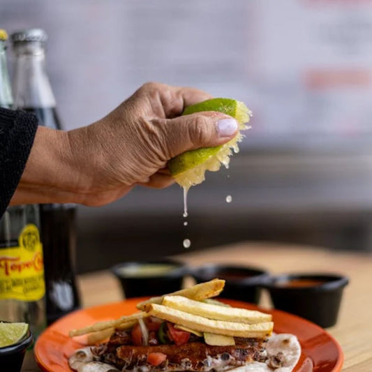 Potroast Taco Quesadilla and Fries